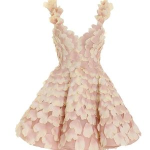 NWT Zimmermann Mini Dress